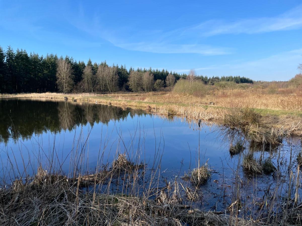 Landhotel Witte-Koenig Garrel Esterno foto
